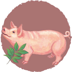 豚肉